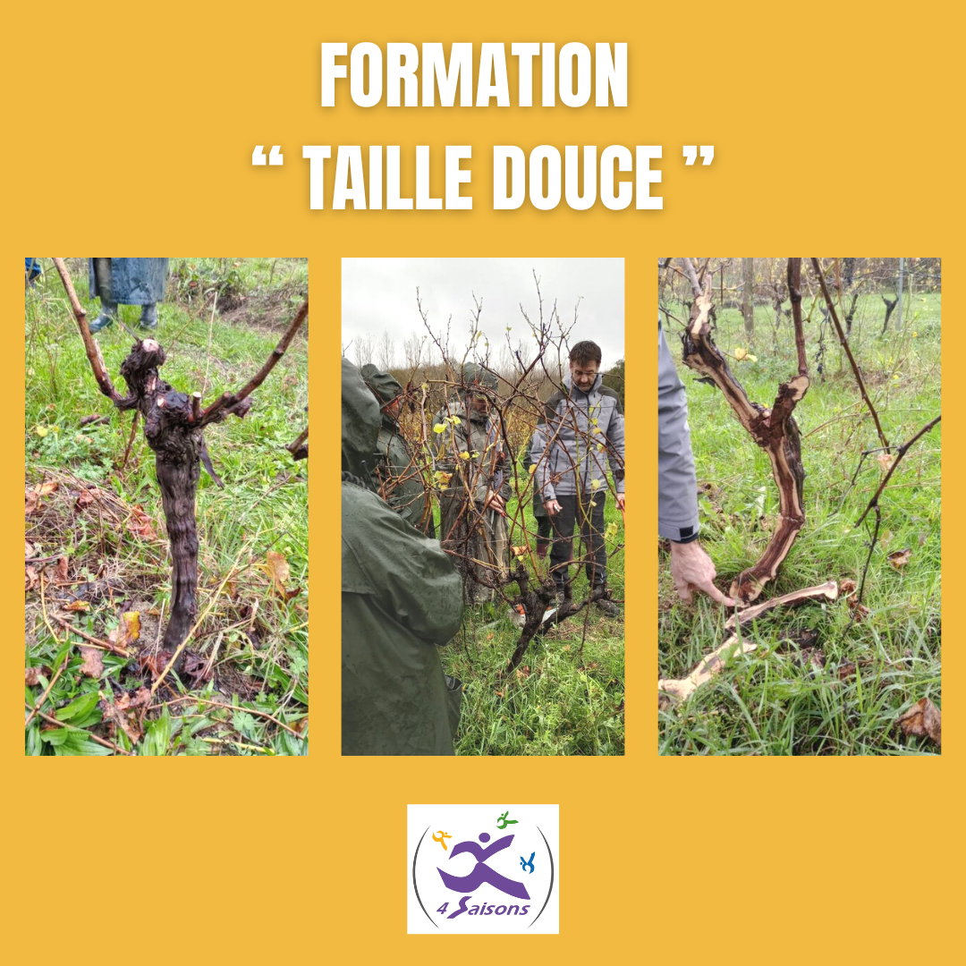 FORMATION TAILLE DOUCE
